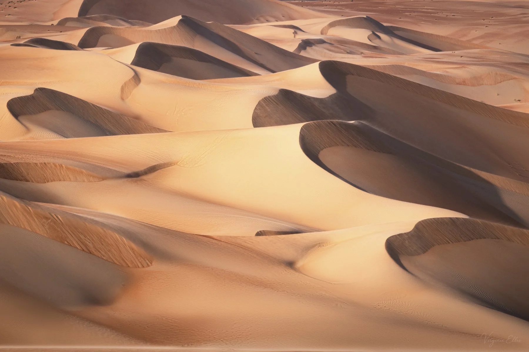 Calligraphie of the Wind