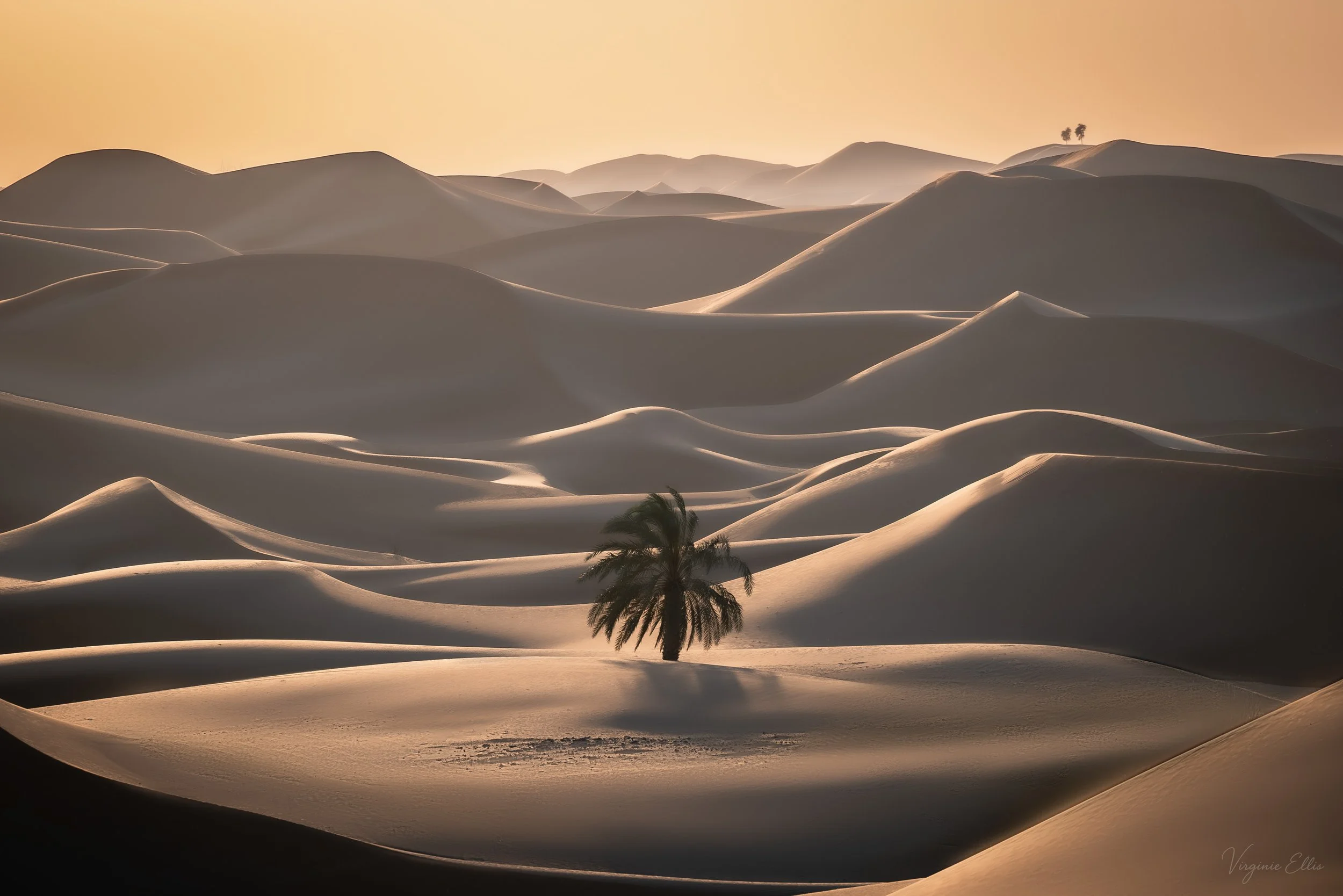 virginie-desert in color.jpg