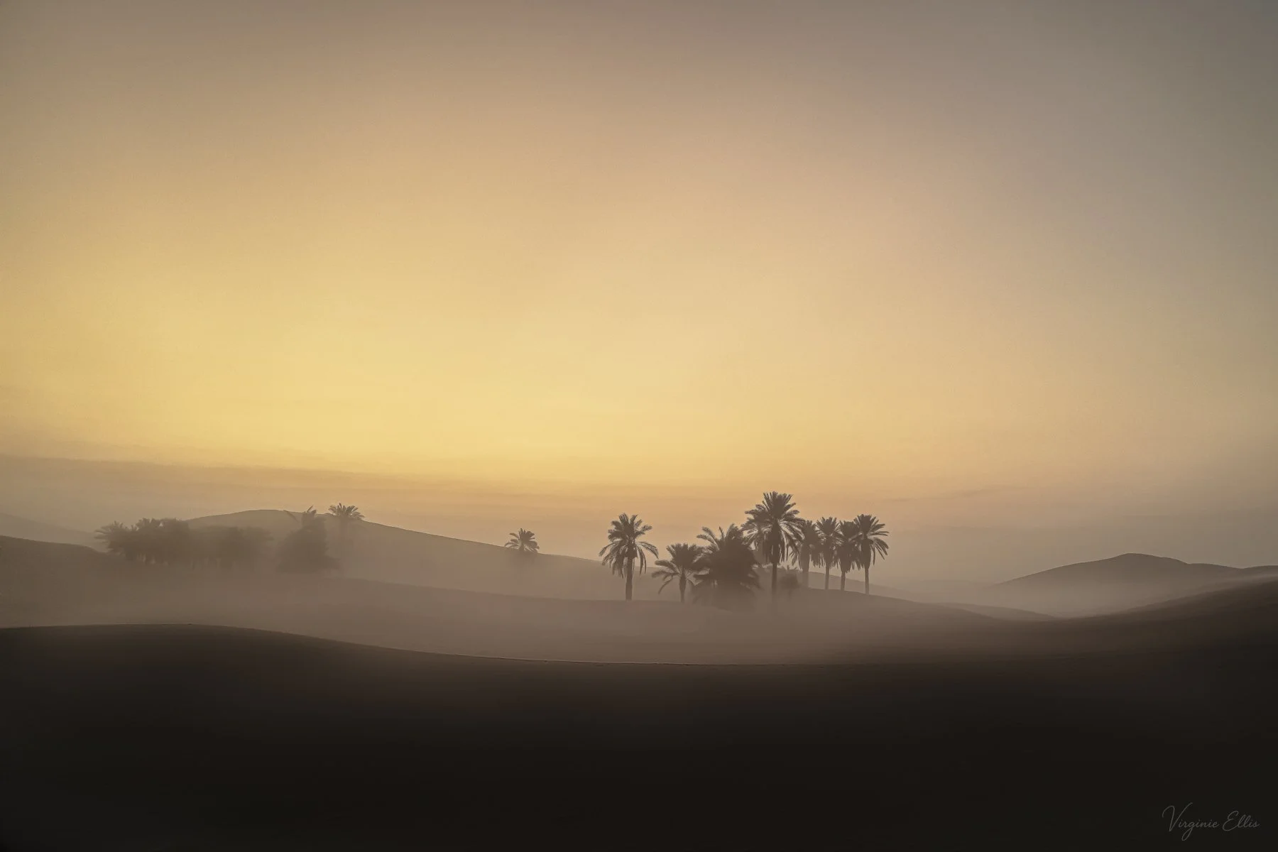 virginie-DESERT ALIVE copy.jpg