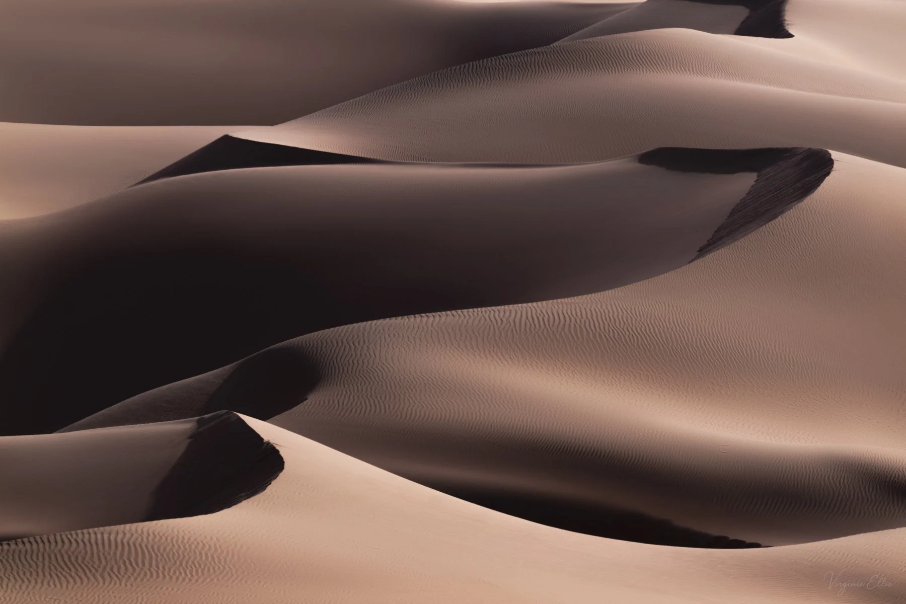 Sea of Silver Dunes