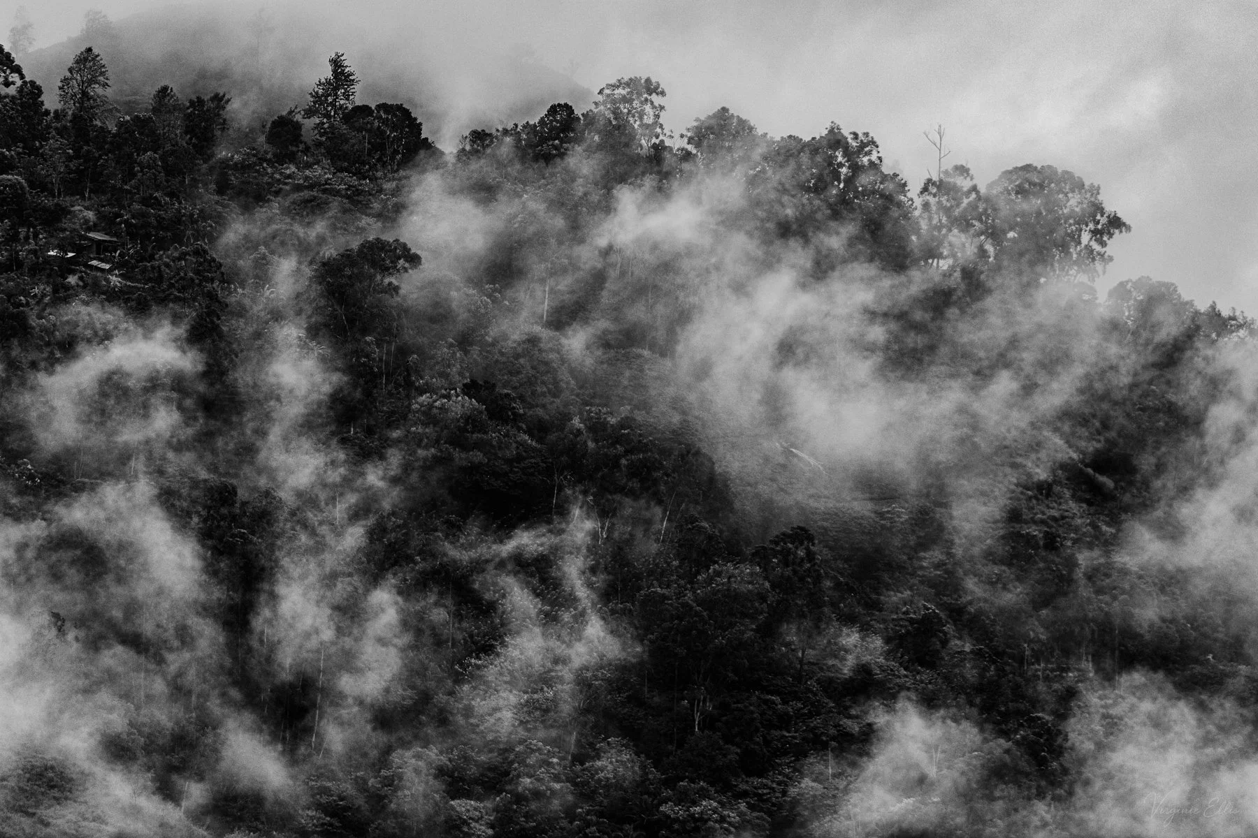 virginie-desert in color.jpg