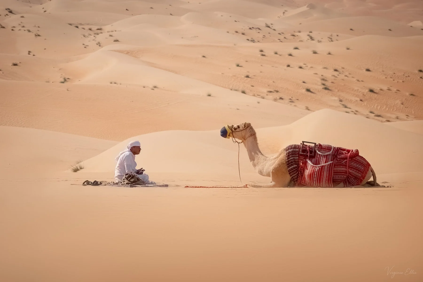 virginie-desert in color-41.jpg