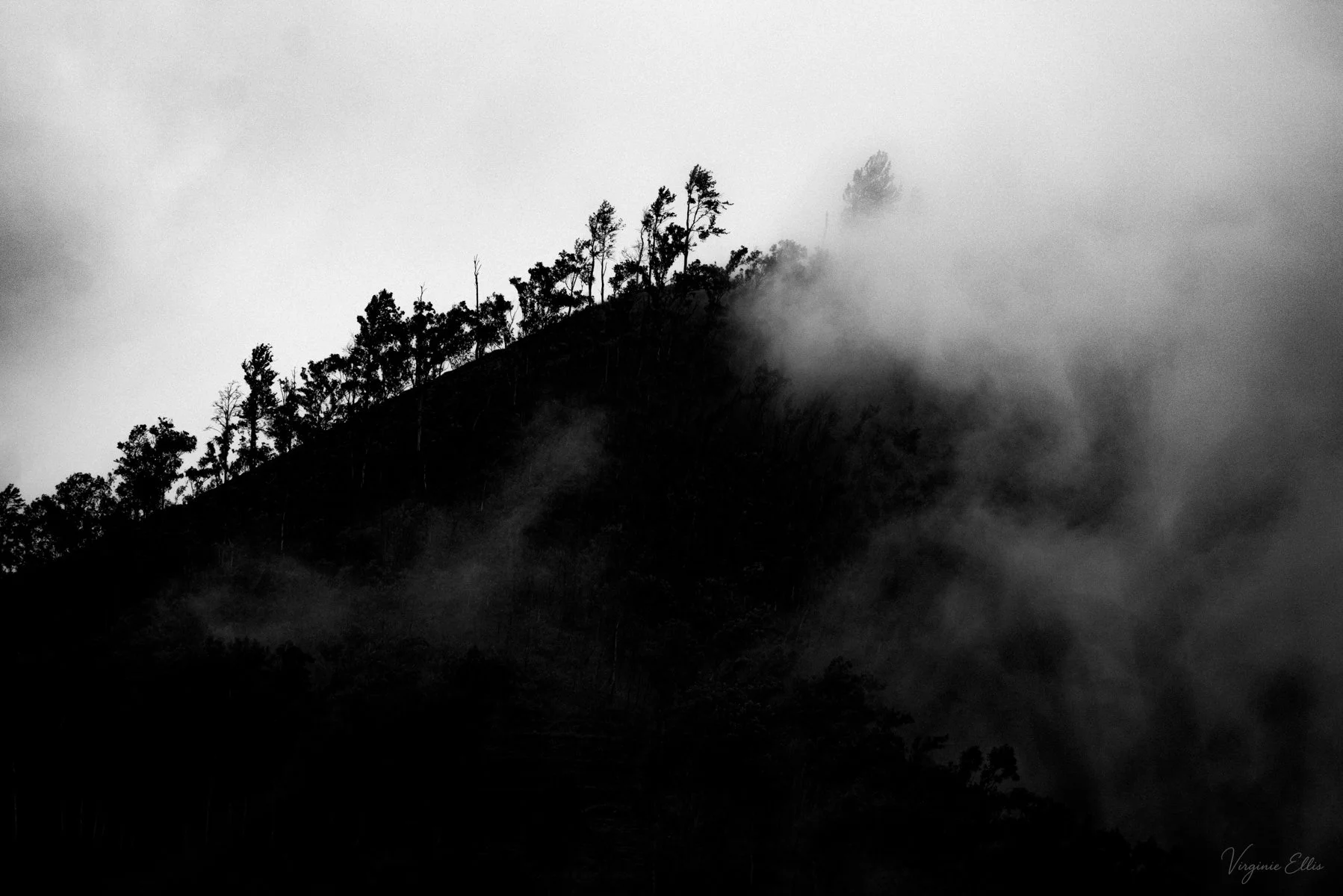 virginie-desert in color-2.jpg