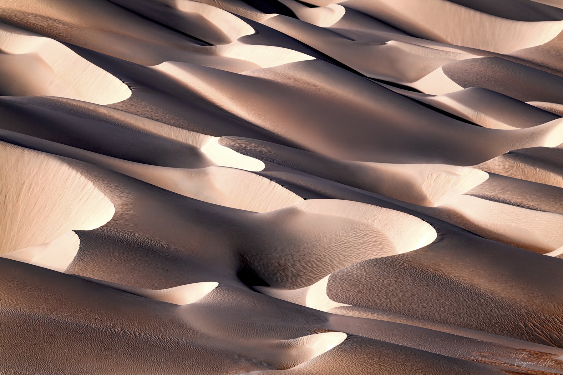 Sculpted by the Wind