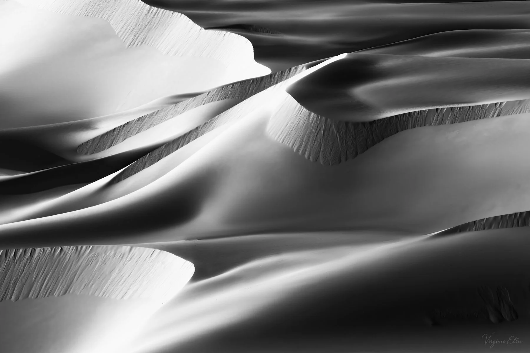 virginie- DESERT IN BNW 1 copy.jpg