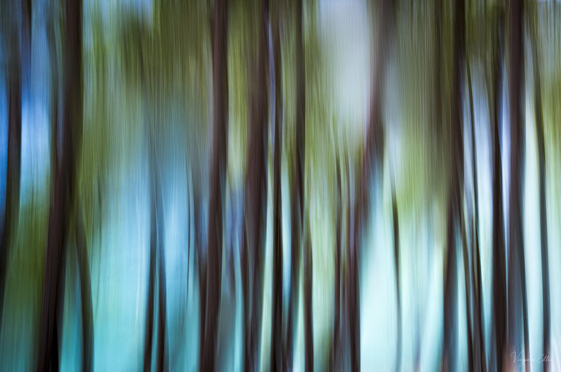 virginie-nature copy.jpg