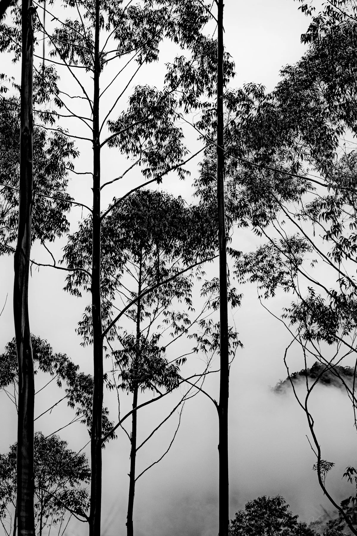 virginie-desert in color-7.jpg