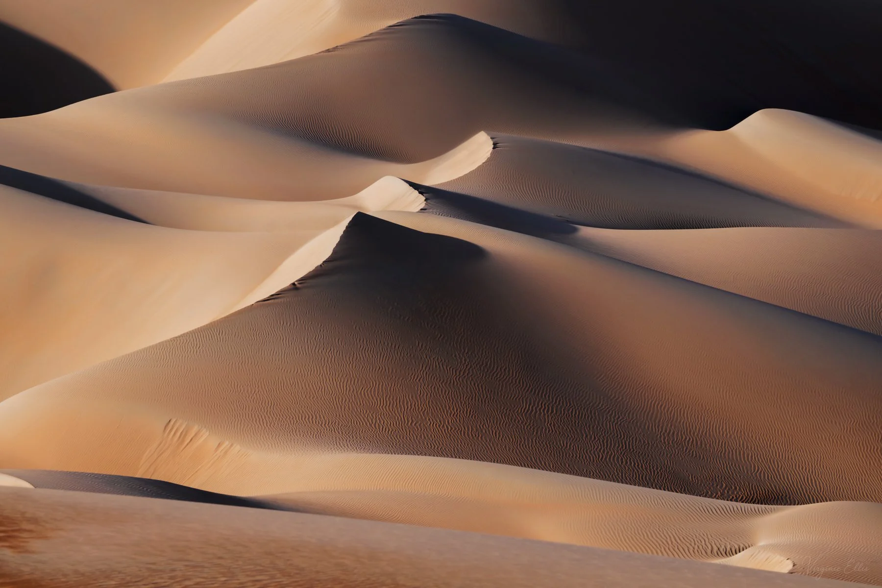 Desert Waves
