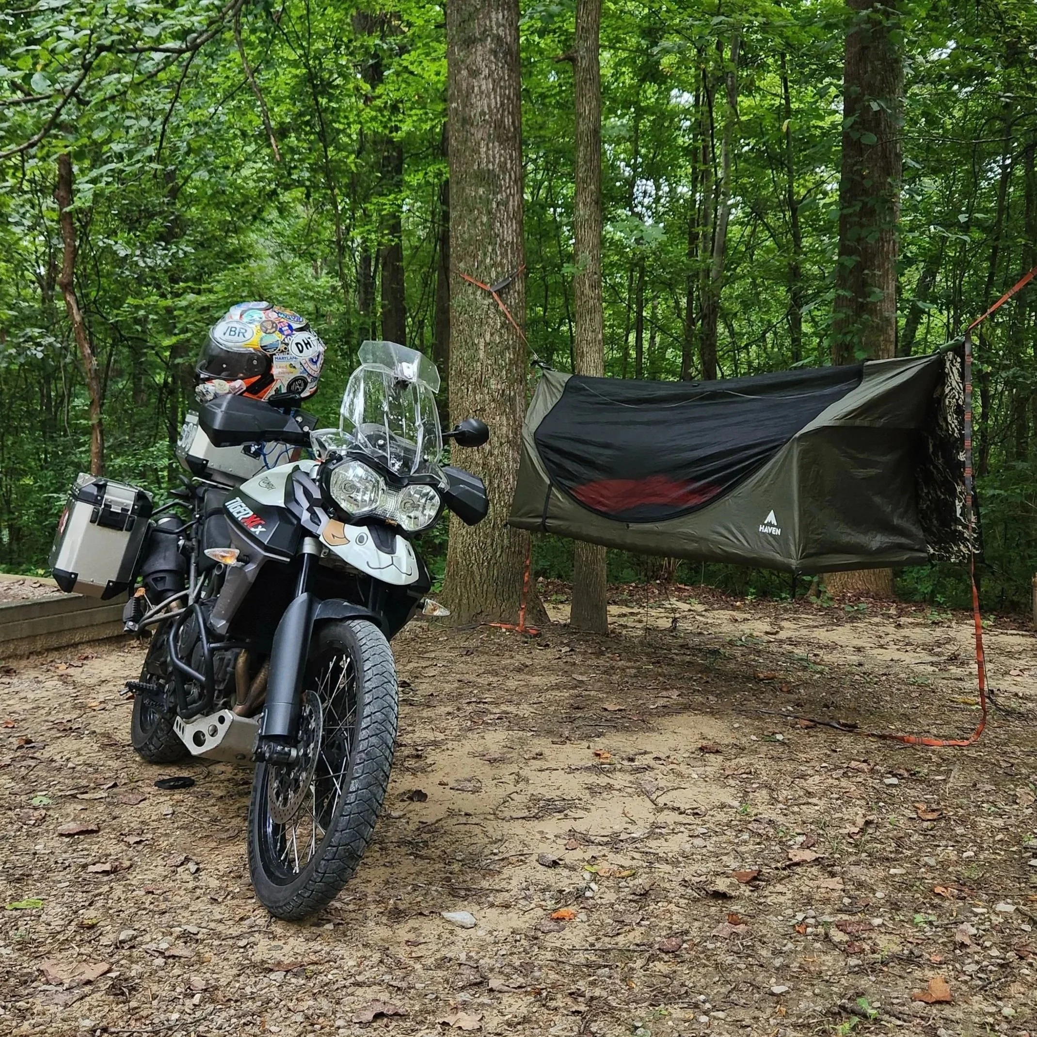 Hammock Registration