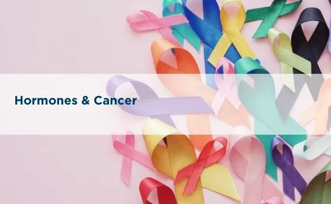 Hormones &amp; Cancer
