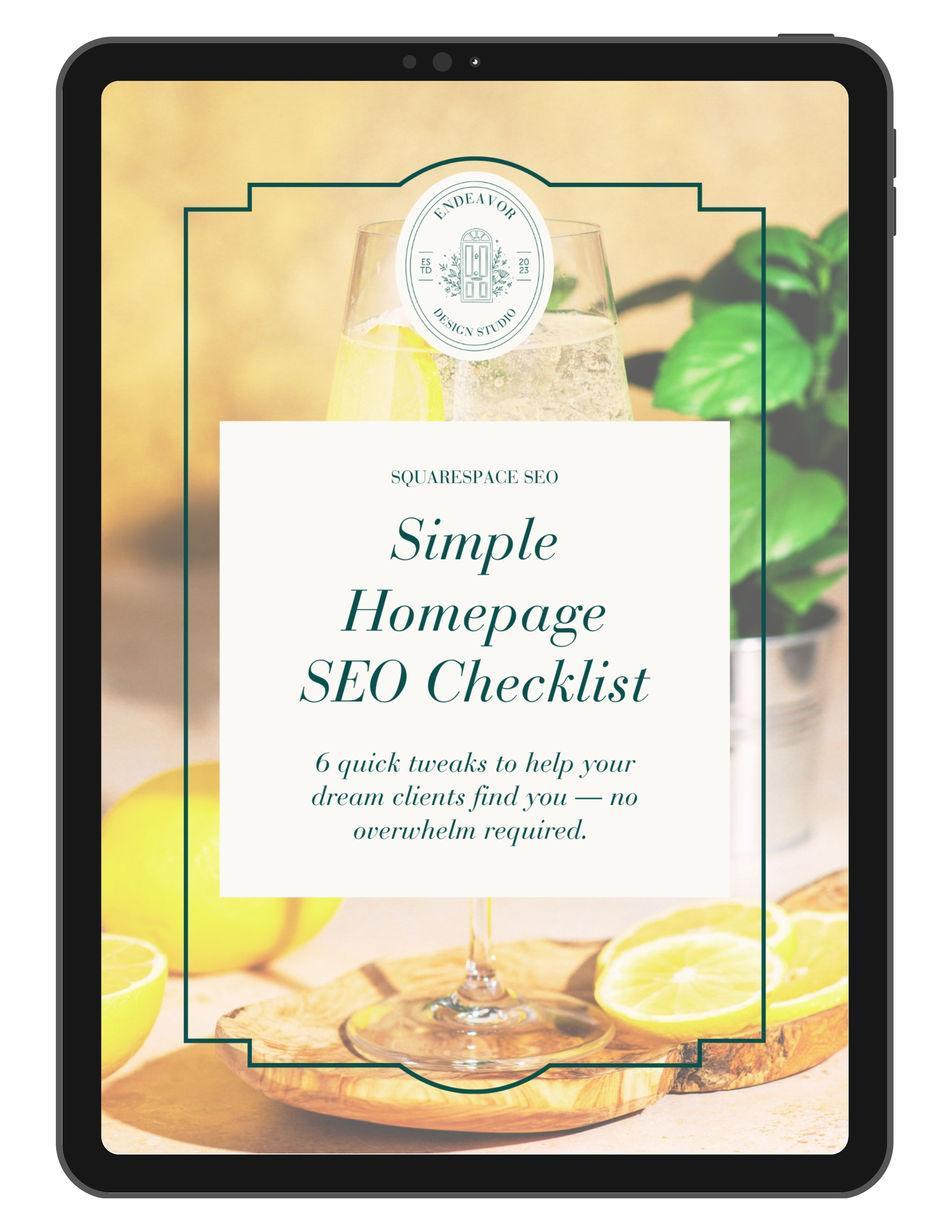 freebies-for-businesses-that-want-to-increase-traffic-and-get-found-on-google-by-aligned-clients-endeavor-design-studio-squarespace-seo-and-ux