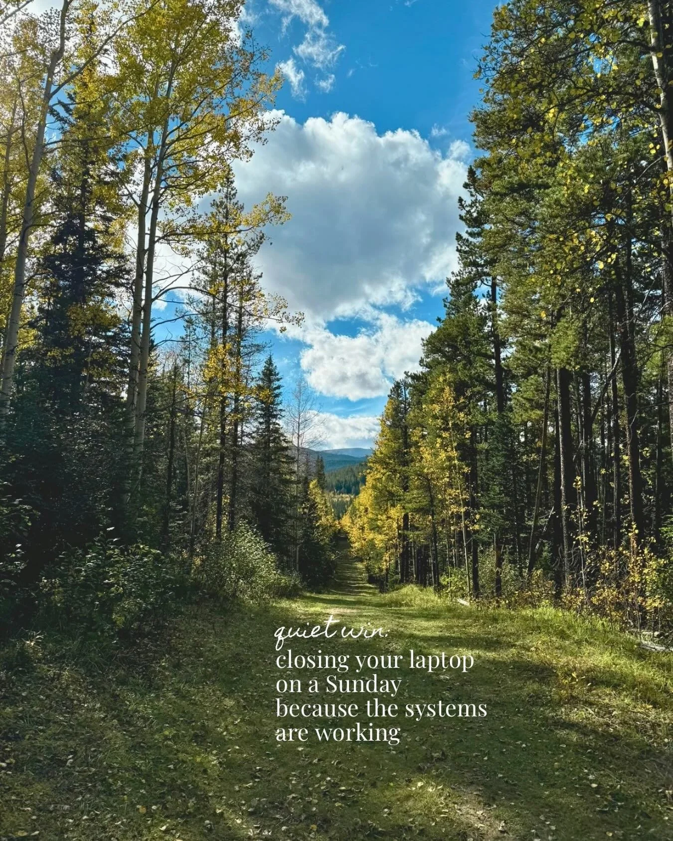 Closing your laptop on a Sunday because the systems are working 🙌 

#intentionalbusiness 
#slowbusiness 
#presspause 
#liveoffline 
#slowsundays