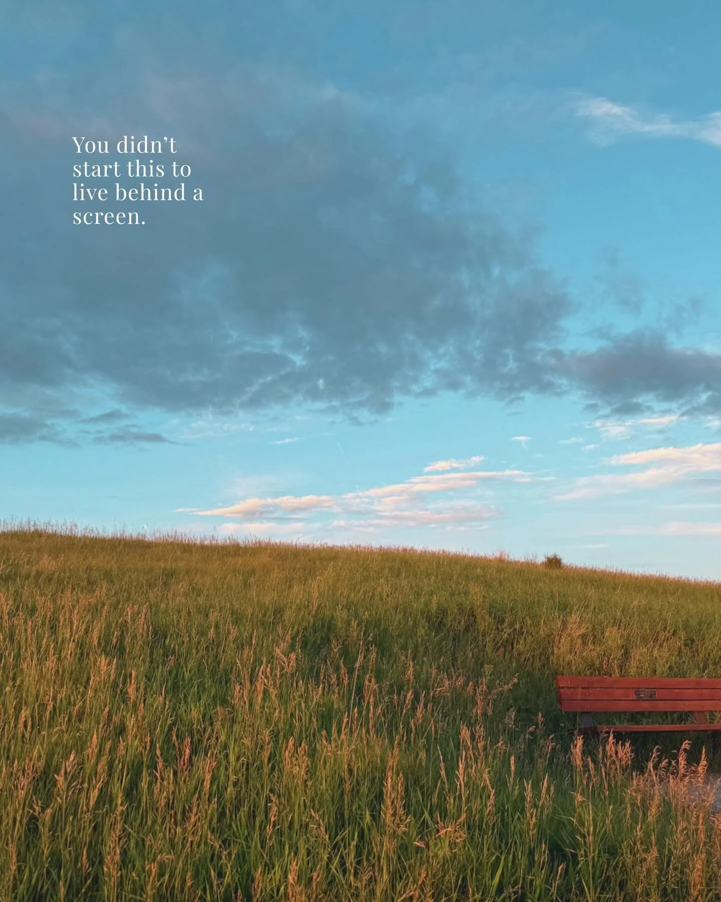 ✨ You didn&rsquo;t start this journey to live behind a screen ✨

One of the reasons I care so much about thoughtful website strategy and SEO is because of what it creates space for.

You likely didn&rsquo;t start your business because you wanted to s