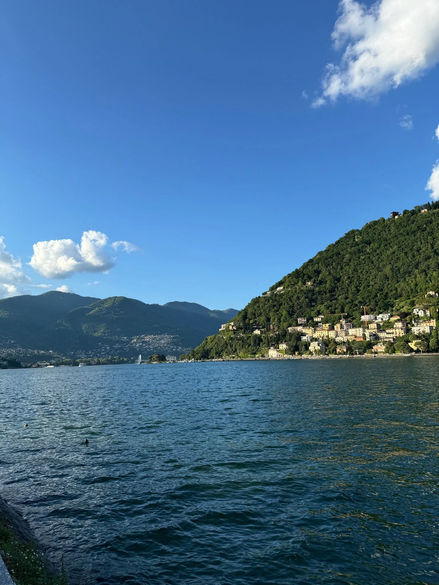 IMG_0400.jpg