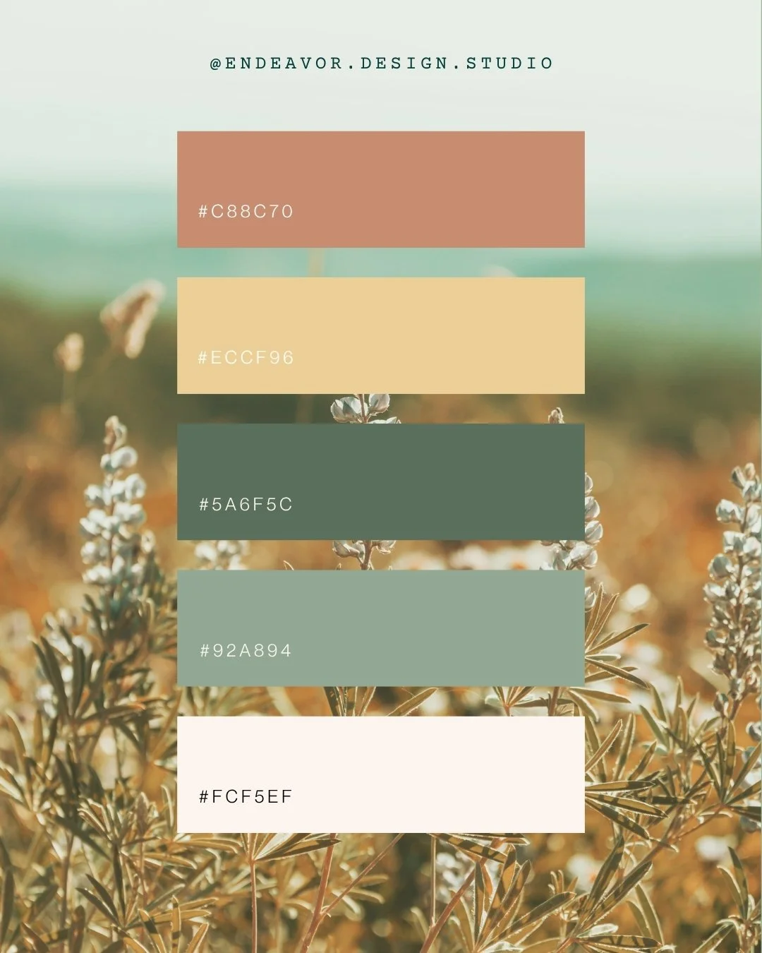 custom-squarespace-web-design-for-doula-squarespace-website-design-custom-for-doula-squarespace-brand-design-for-doula-calgary-endeavor-design-studio-custom-squarespace-websites-calgary