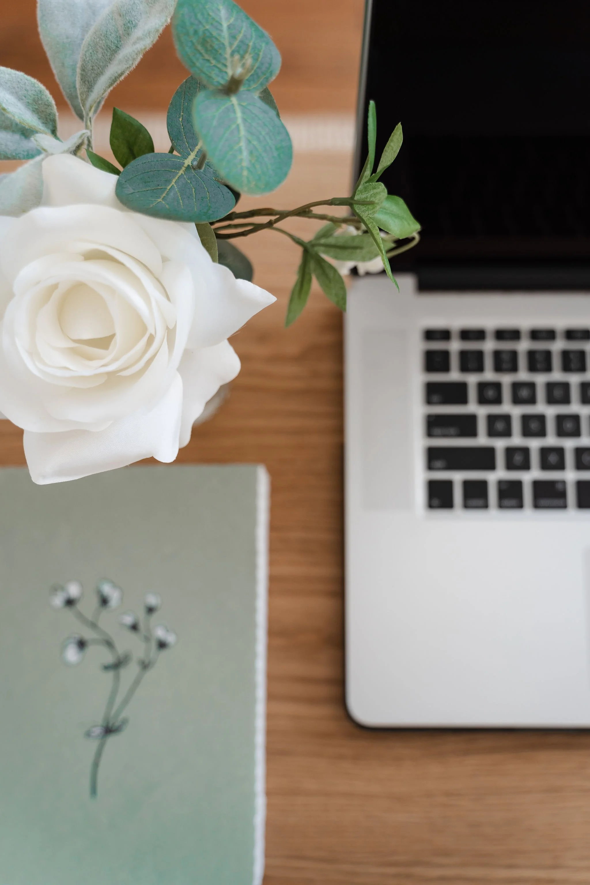 calgary-website-designer-squarespace-website-designer-wix-website-designer-website-design-canada-custom-website-design-website-strategy-service-provider-websites-endeavor-design-studio