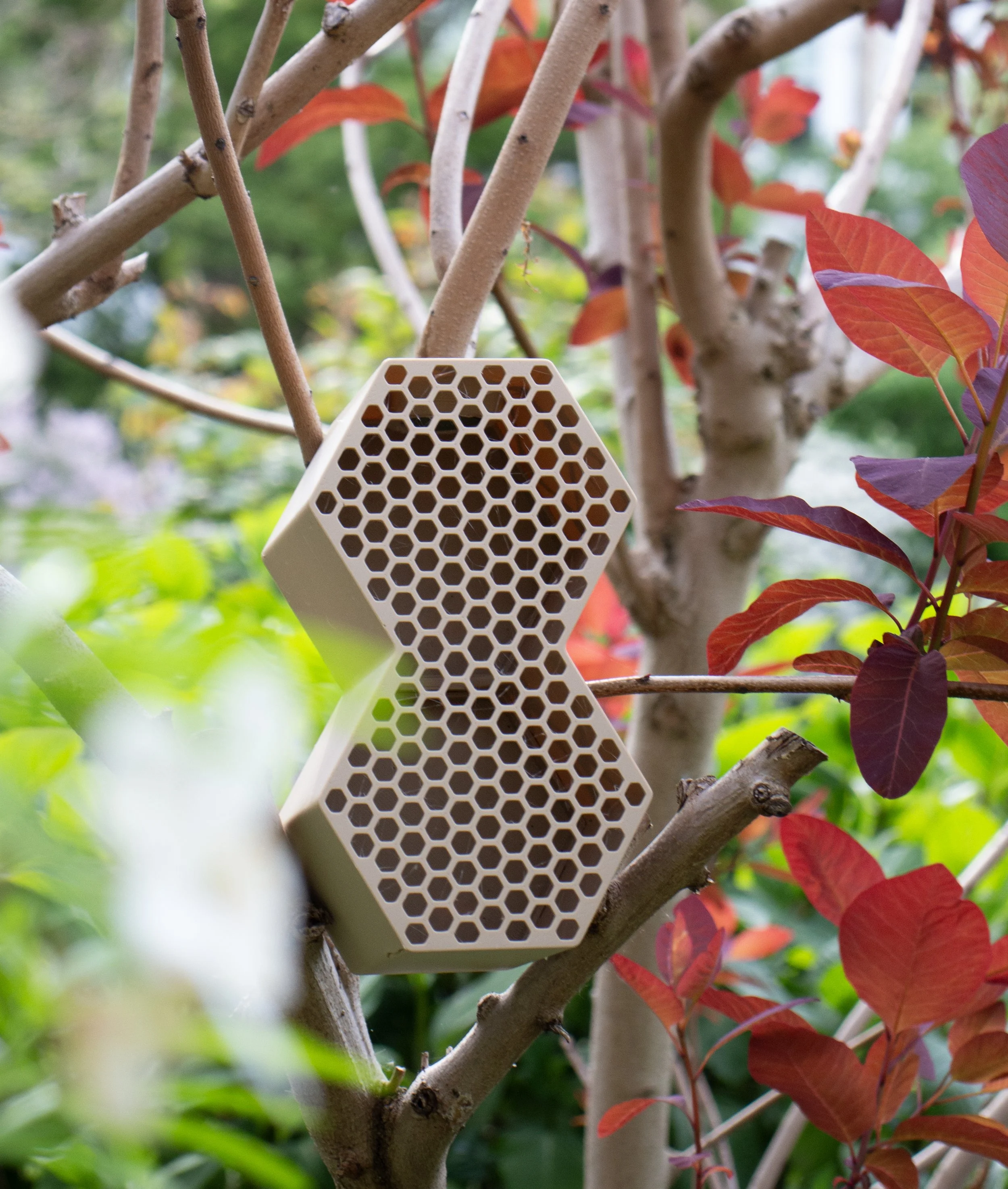 upright bird feeder.jpg