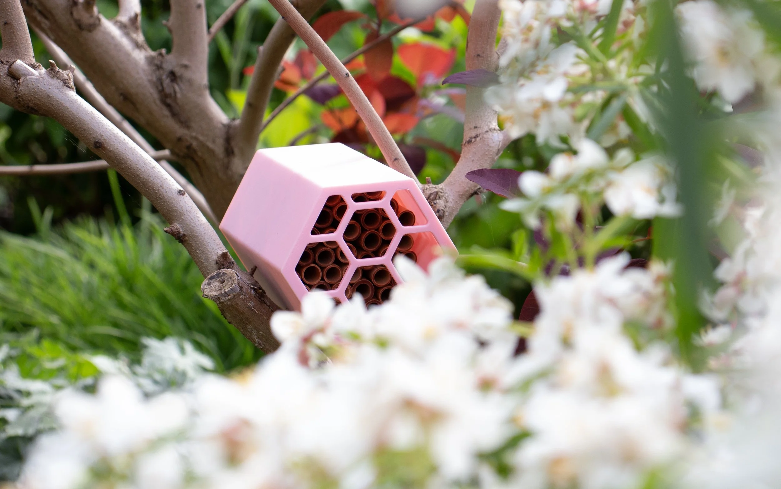 pink air bee and bee.jpg