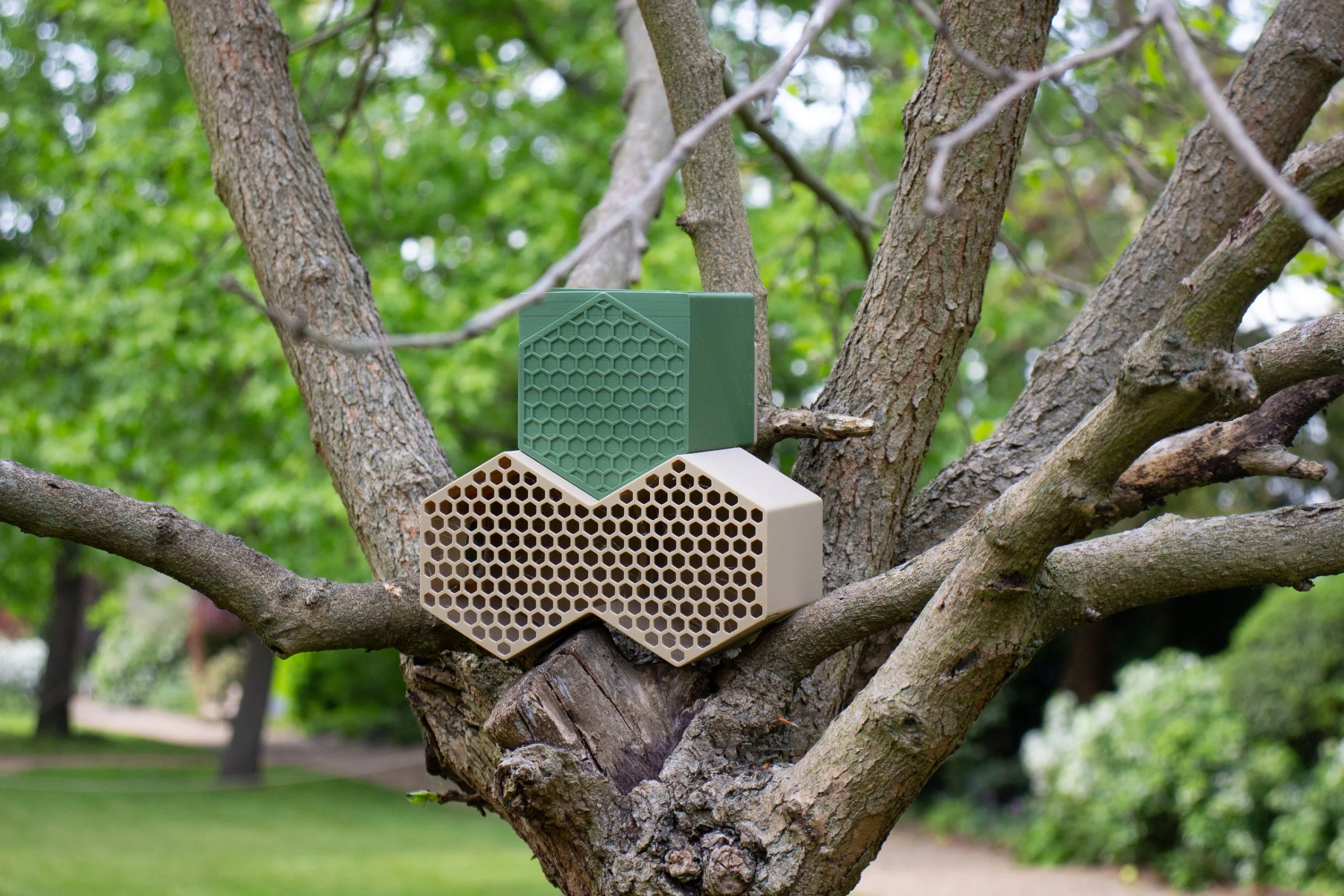 green and beige plant pot and bird feeder.jpg