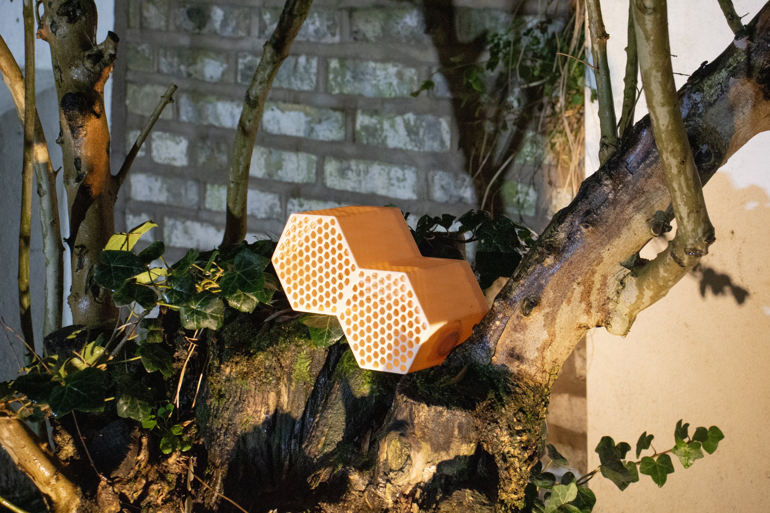 HEX Bird feeder first image.jpg