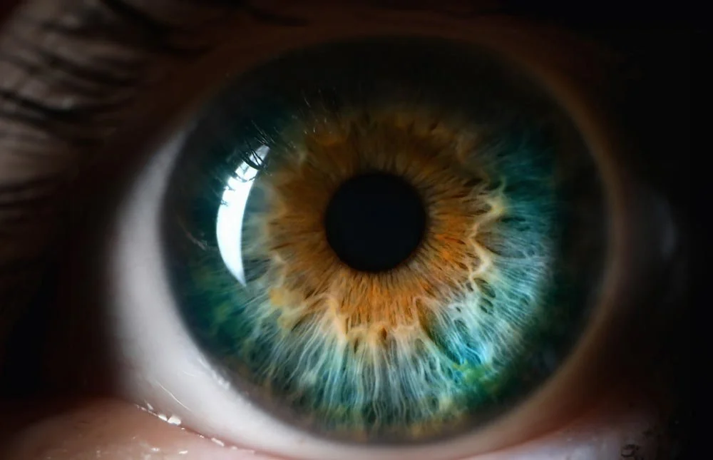 Close-up of a human eye showing detailed iris with green, brown, and blue colors.