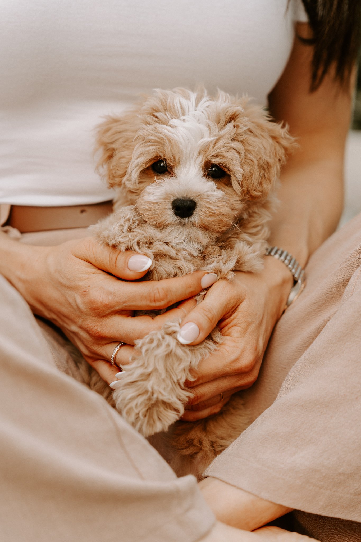 Hundefotografie Outdoor Köln(15 von 134).jpg
