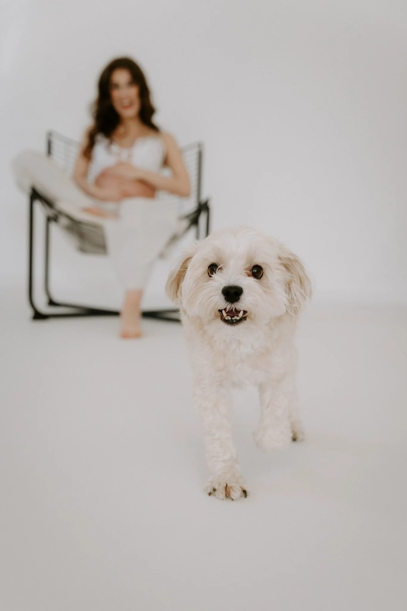 Babybauchshooting mit Hund Köln(7 von 32).jpg