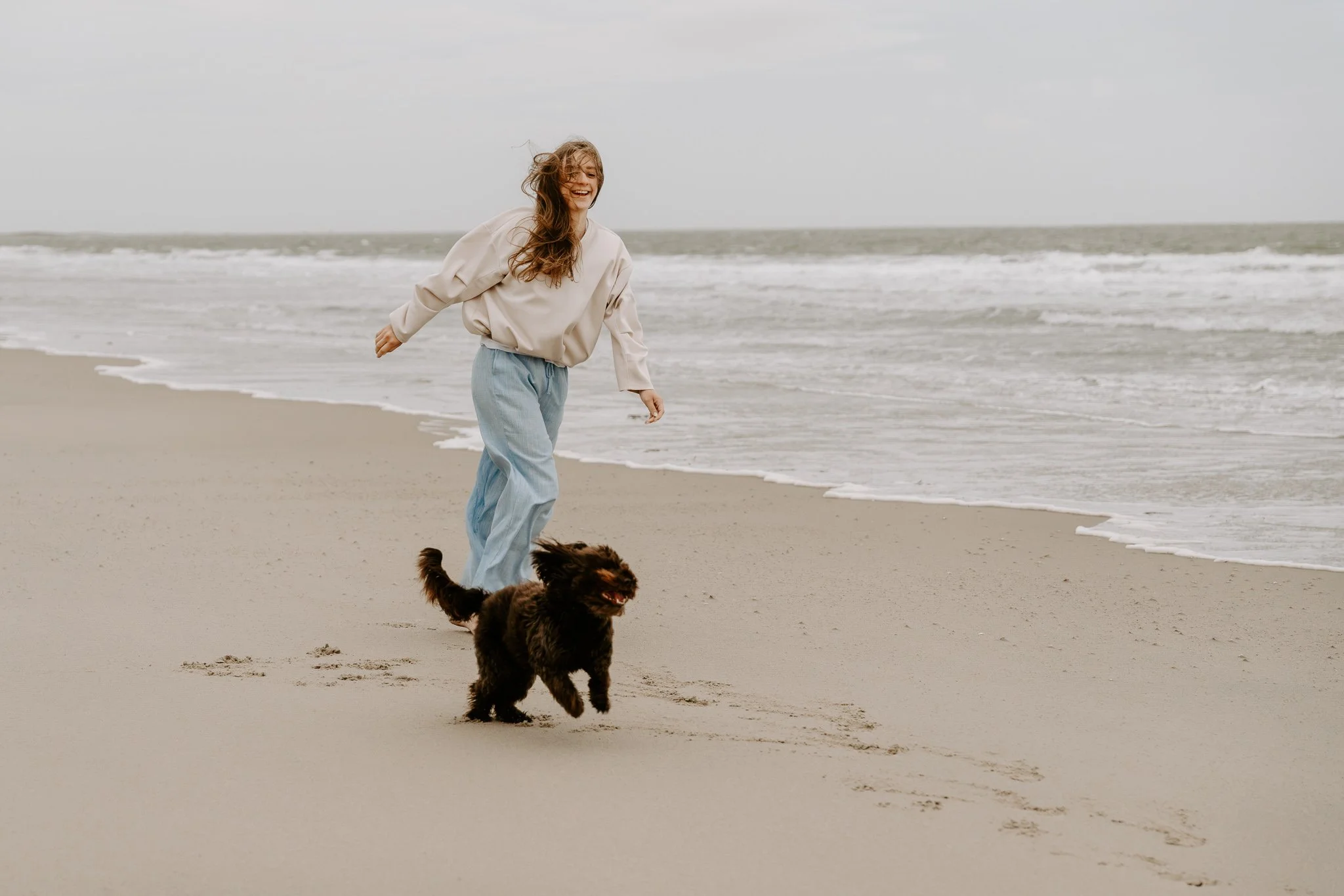 Hundefotos Holland am Strand(3 von 39).jpg