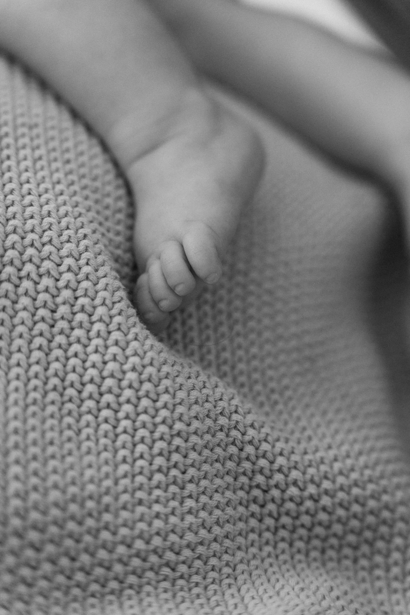 Familienshootoing mit Hund Köln - Bohoandclassy Fotografie(12 von 28).jpg