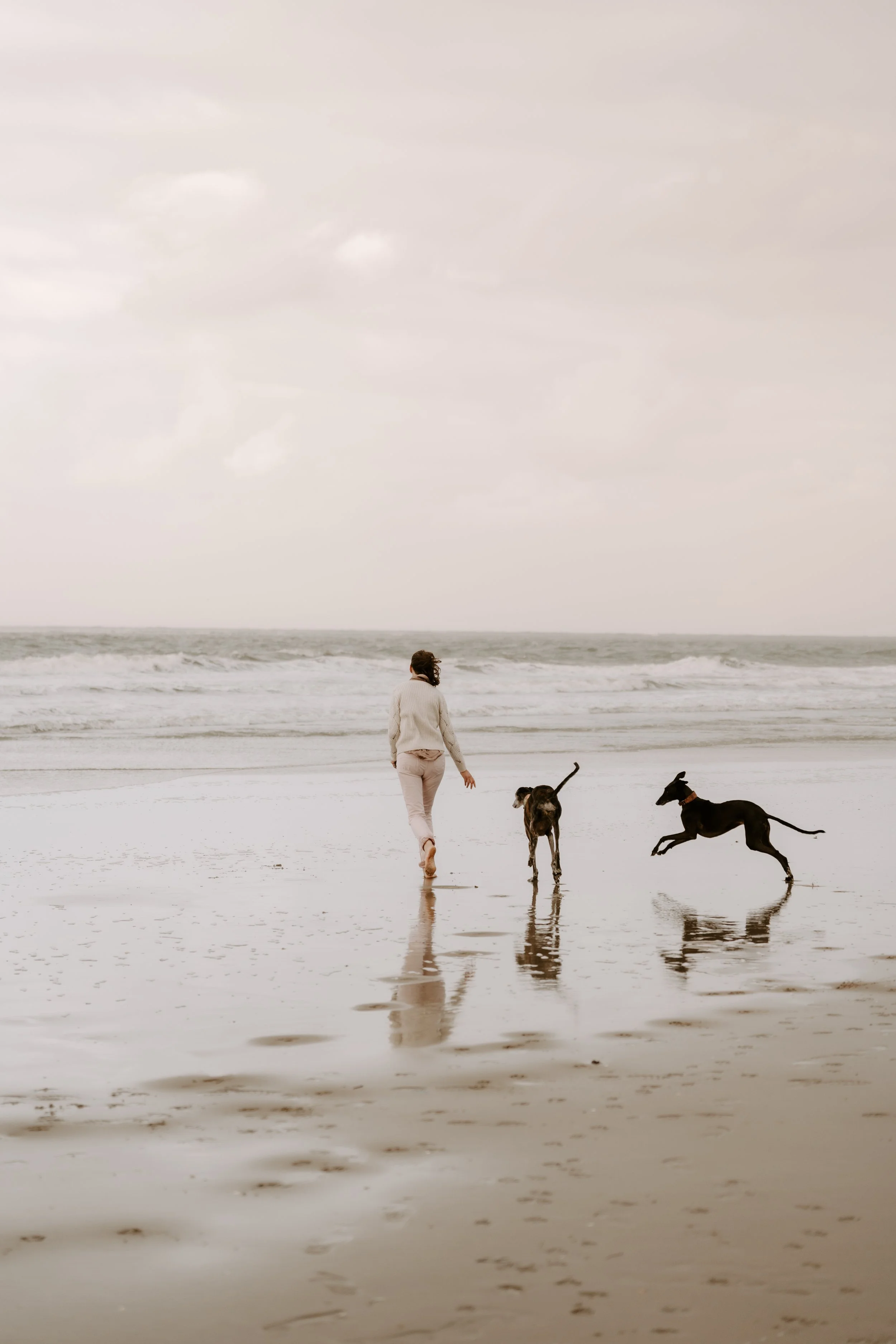 Hundefotografie Holland (7 von 10).jpg