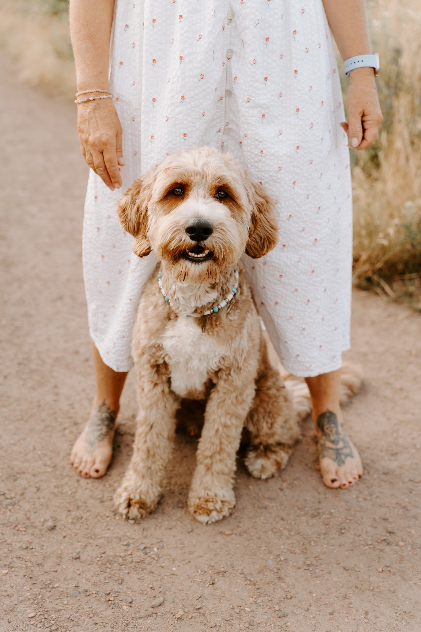Hundefotografie outdoor Köln (49 von 101).jpg