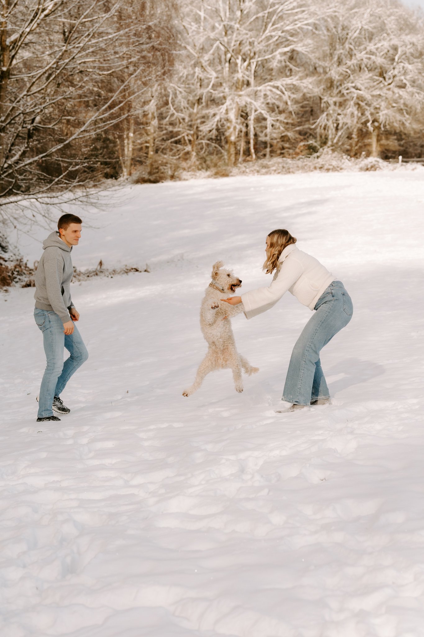 Fotoshooting mit Hund Köln (43 von 102).jpg