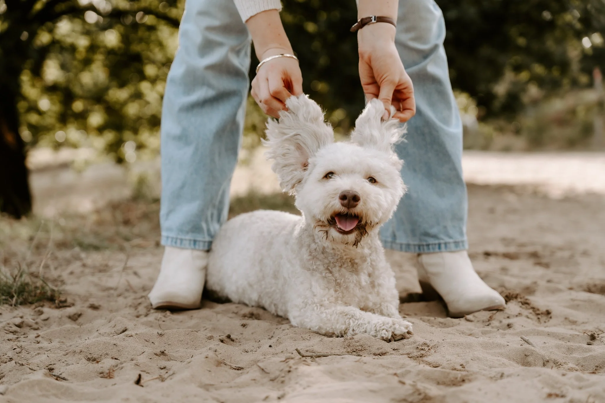 Hundefotografie Köln outdoor (39 von 130).jpg