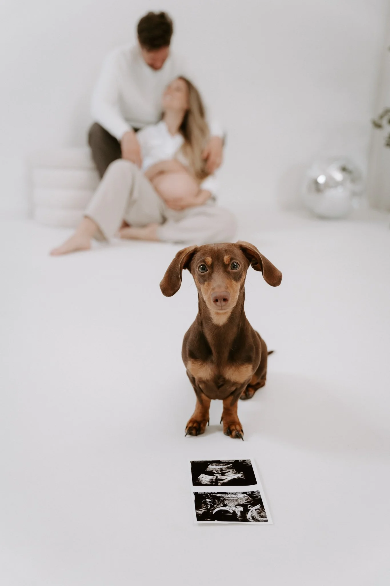 Babybauchshooting mit Hund Köln(5 von 65).jpg