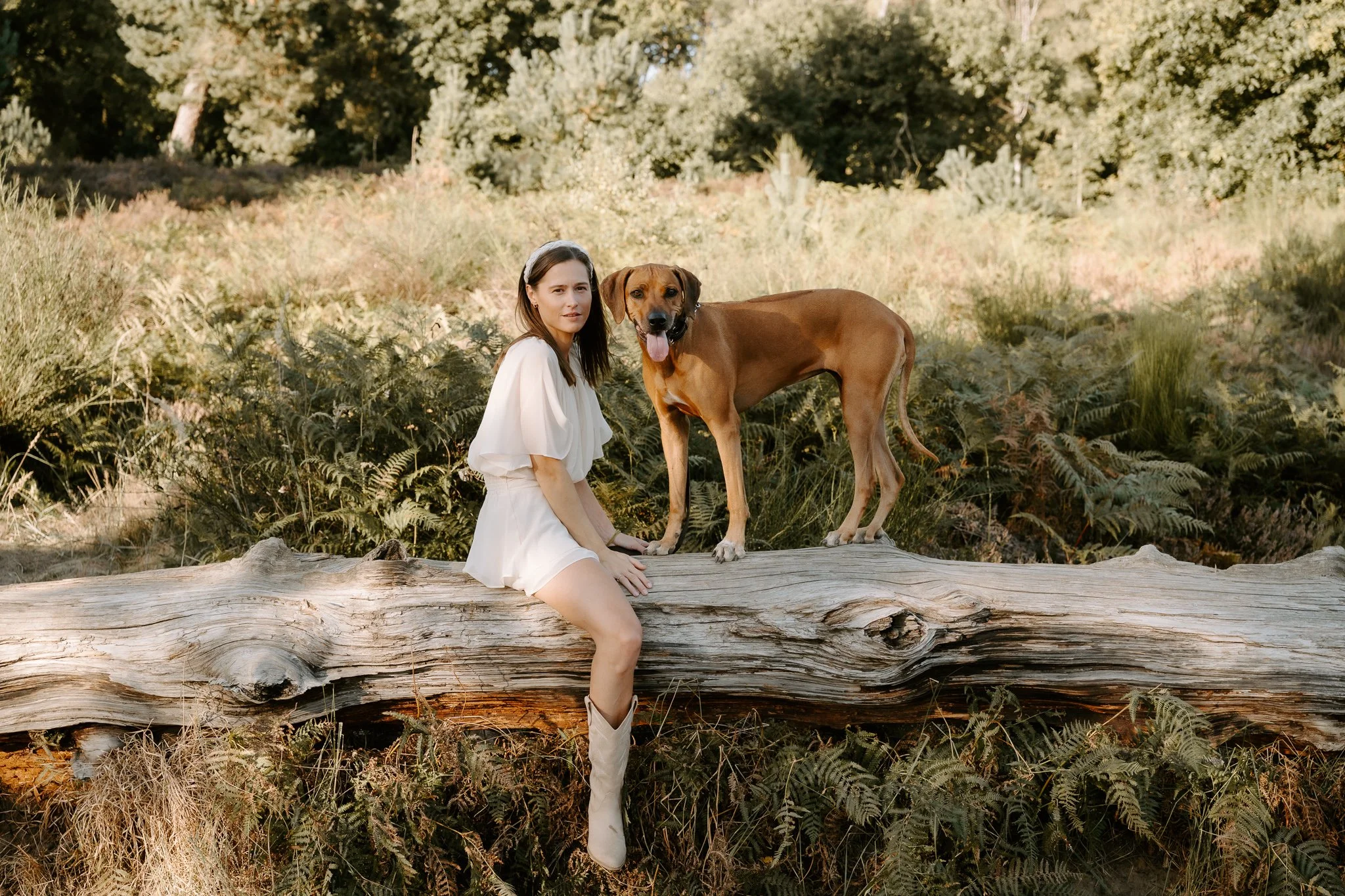 Hundefotografie Köln(11 von 34).jpg