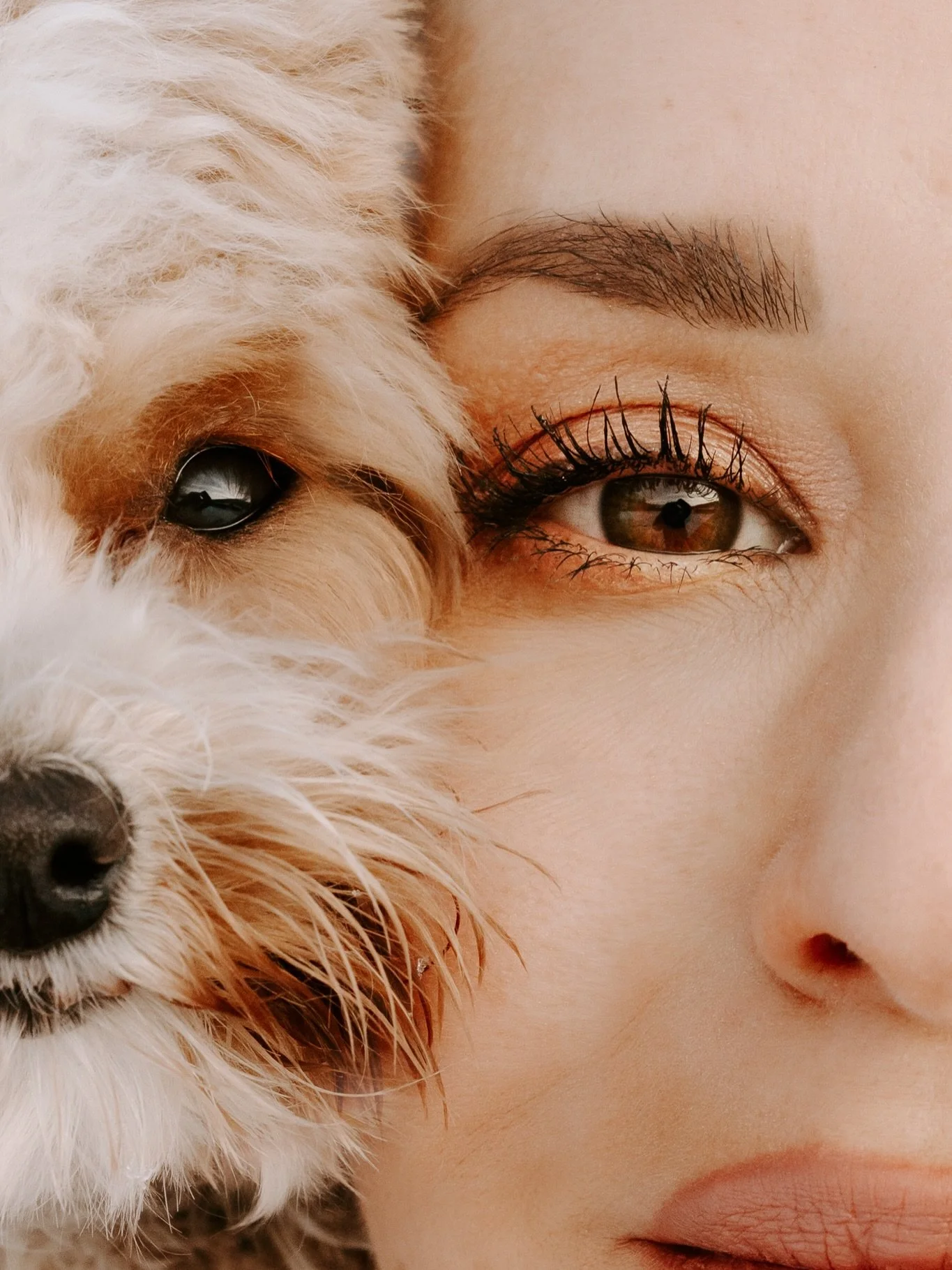 In Bayern durfte ich die liebe Mirjam mit ihrer (nicht mehr ganz so) kleinen Mia wiedersehen! Vielen Dank f&uuml;r dein erneutes Vertrauen, es war so sch&ouml;n mit euch!! 
.
.
.
Hundefotografie K&ouml;ln, NRW, Holland und deutschlandweit