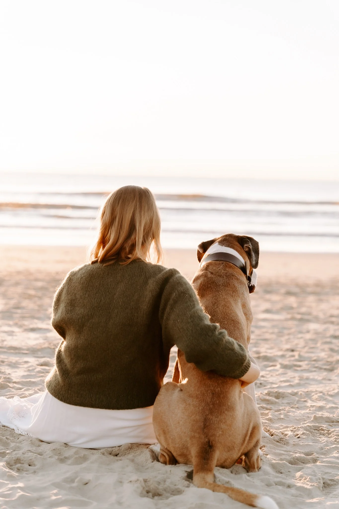 Hundefotografie Holland(9 von 10).jpg