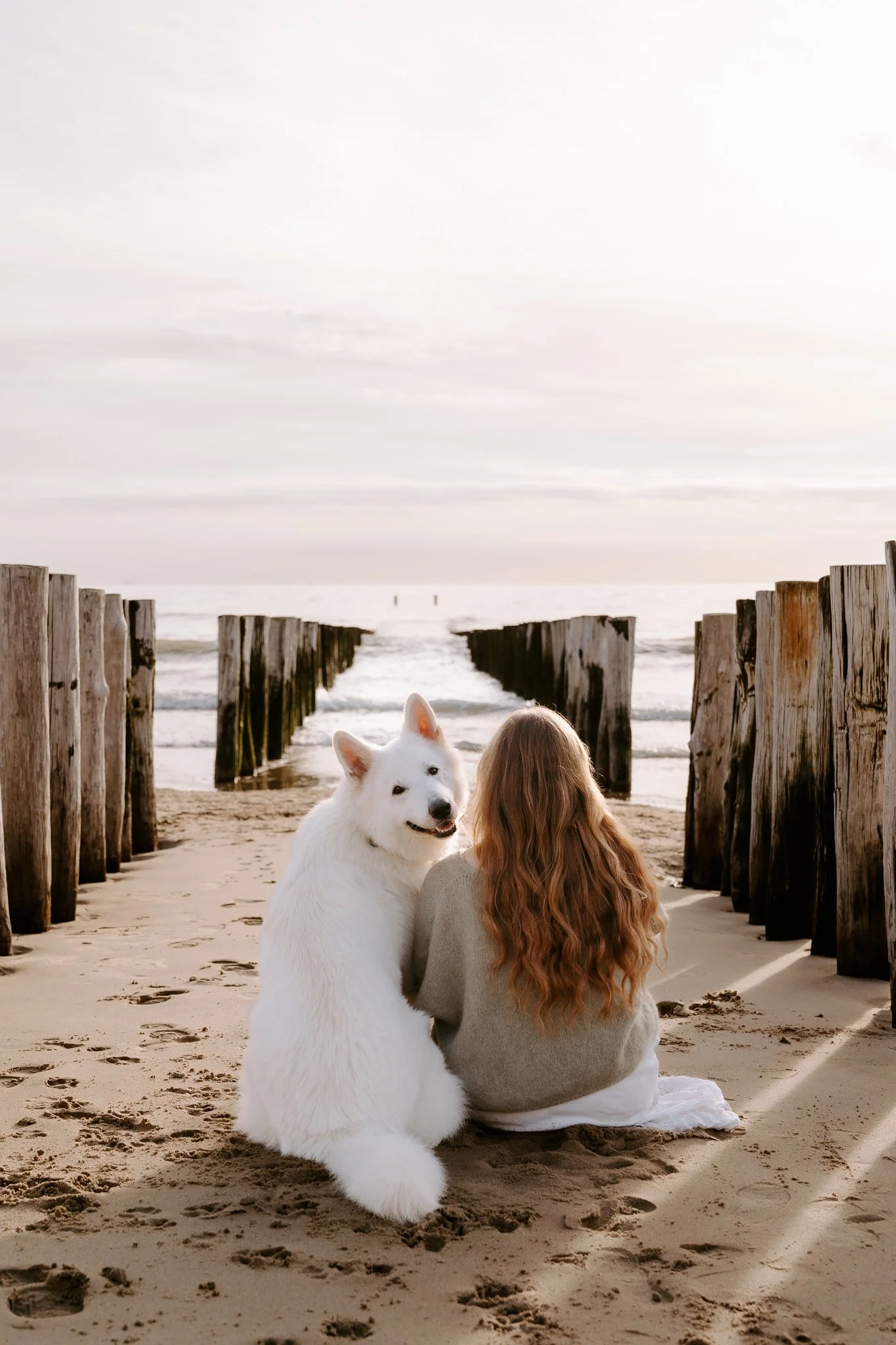 Hundefotografie Holland (2 von 11).jpg