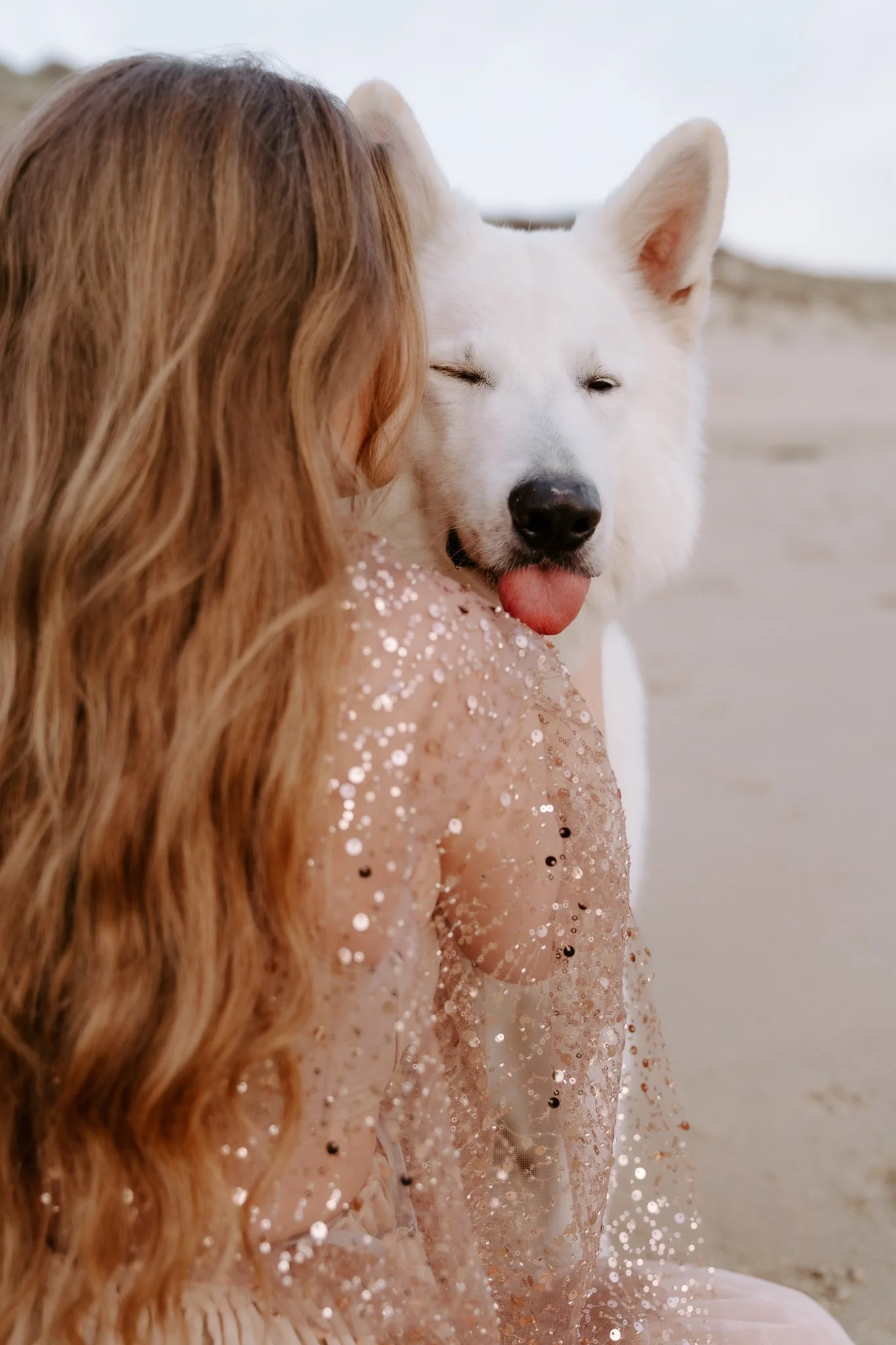 Hundefotografie Holland (10 von 11).jpg