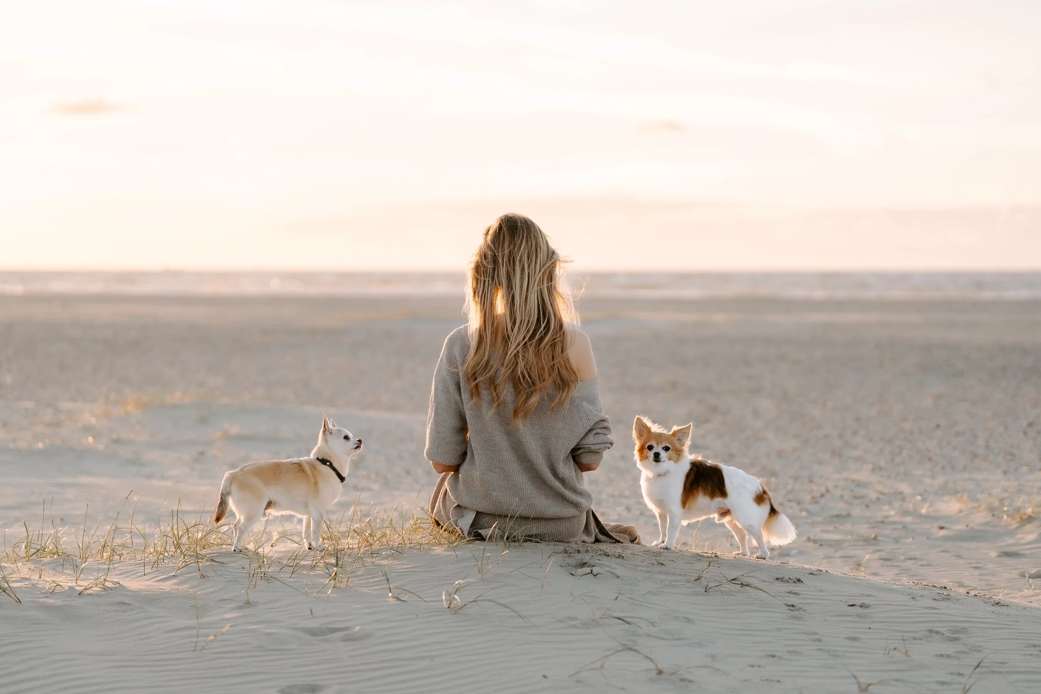 Hundefotografie Holland (6 von 17).jpg