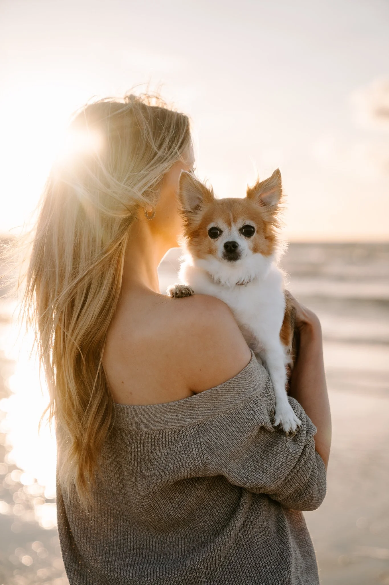 Hundefotografie Holland (4 von 17).jpg