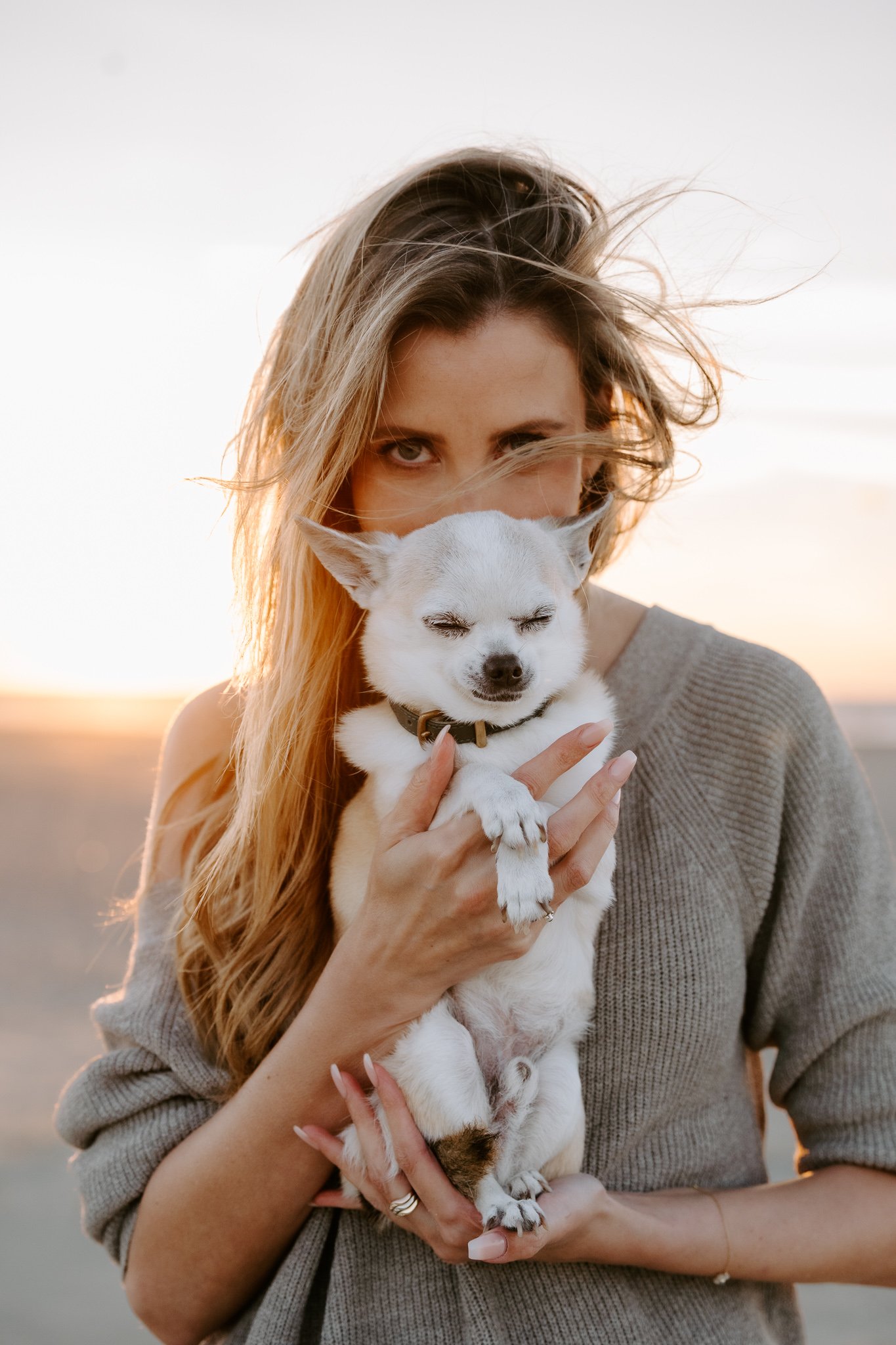 Hundefotografie Holland (10 von 17).jpg