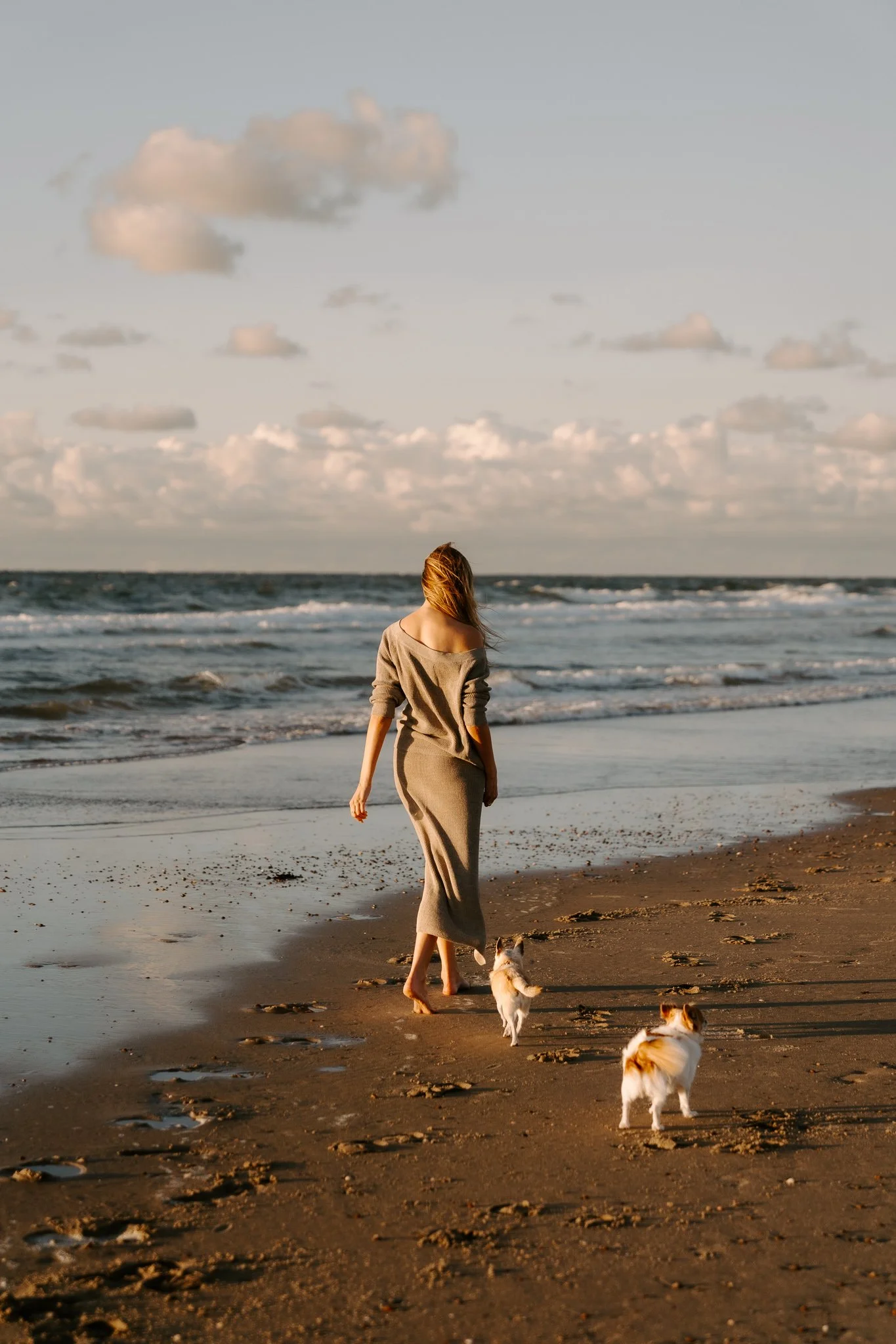 Hundefotografie Holland (2 von 17).jpg