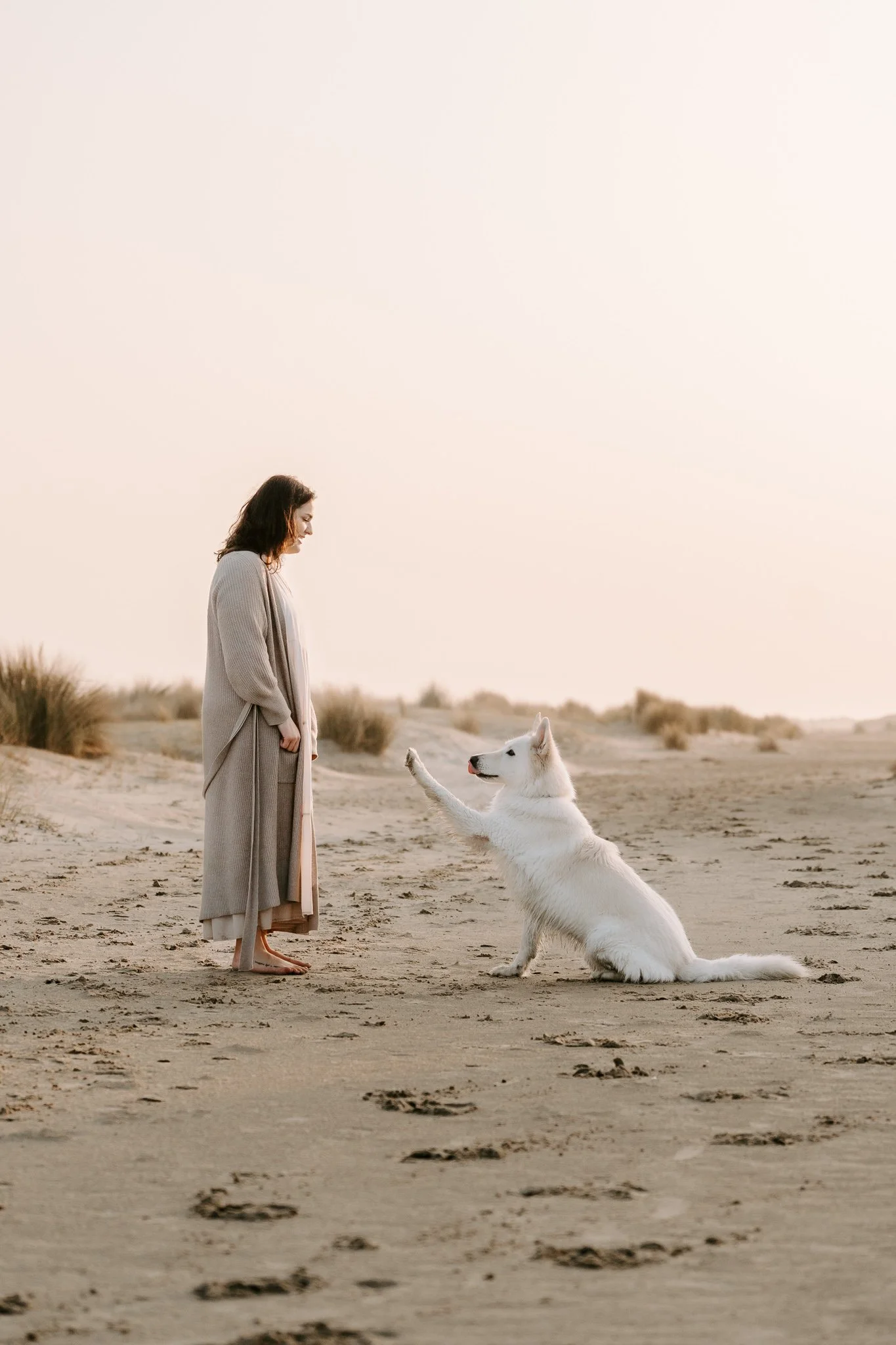 Hundefotografie Holland (11 von 12).jpg