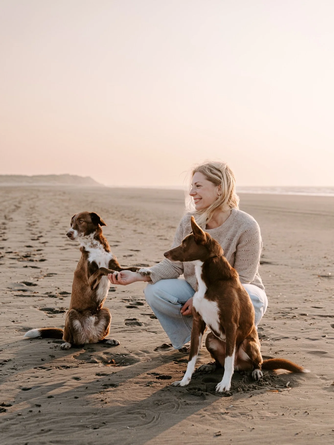 Hier sind die ersten Ergebisse aus Holland. Das Video ist eigentlich quer, aber es passt knapp in den Feed 😁 Auch wenn es Instagram gek&uuml;rzt hat. Unn&ouml;tig. Kommt die Tage nochmal als Reel.
