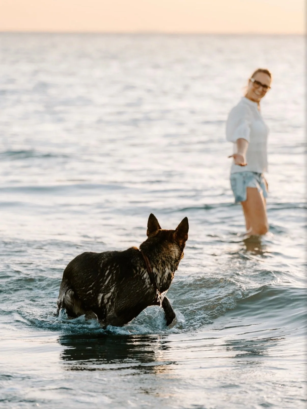 Erste Eegebnisse aus dem tollen Shooting in Holland! Luna ist eine richtige Wasserratte. Ist das bei euren Hunden auch so?