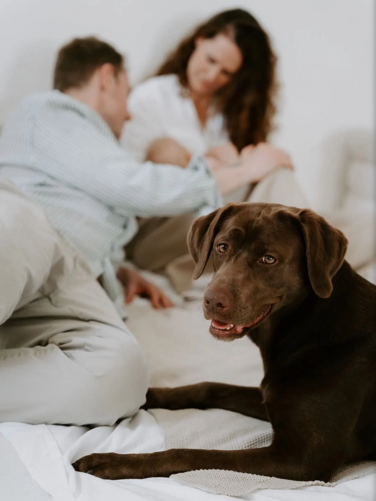 Nach Babybauchshooting mit Hund folgt logischerweise Babyshooting mit Hund 😍 Yuna ist so ein Quatschkopf und hat zwischendurch eine Socke geklaut. 😄