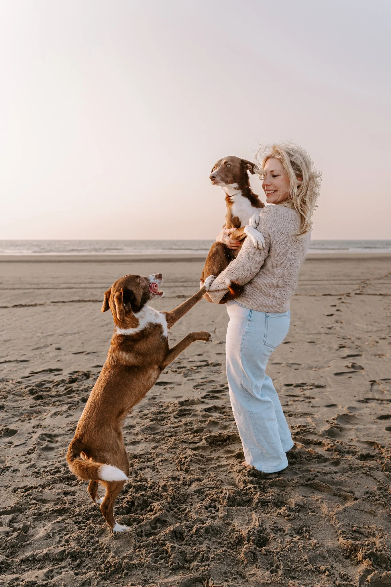 Hundefotografie Holland (9 von 12).jpg