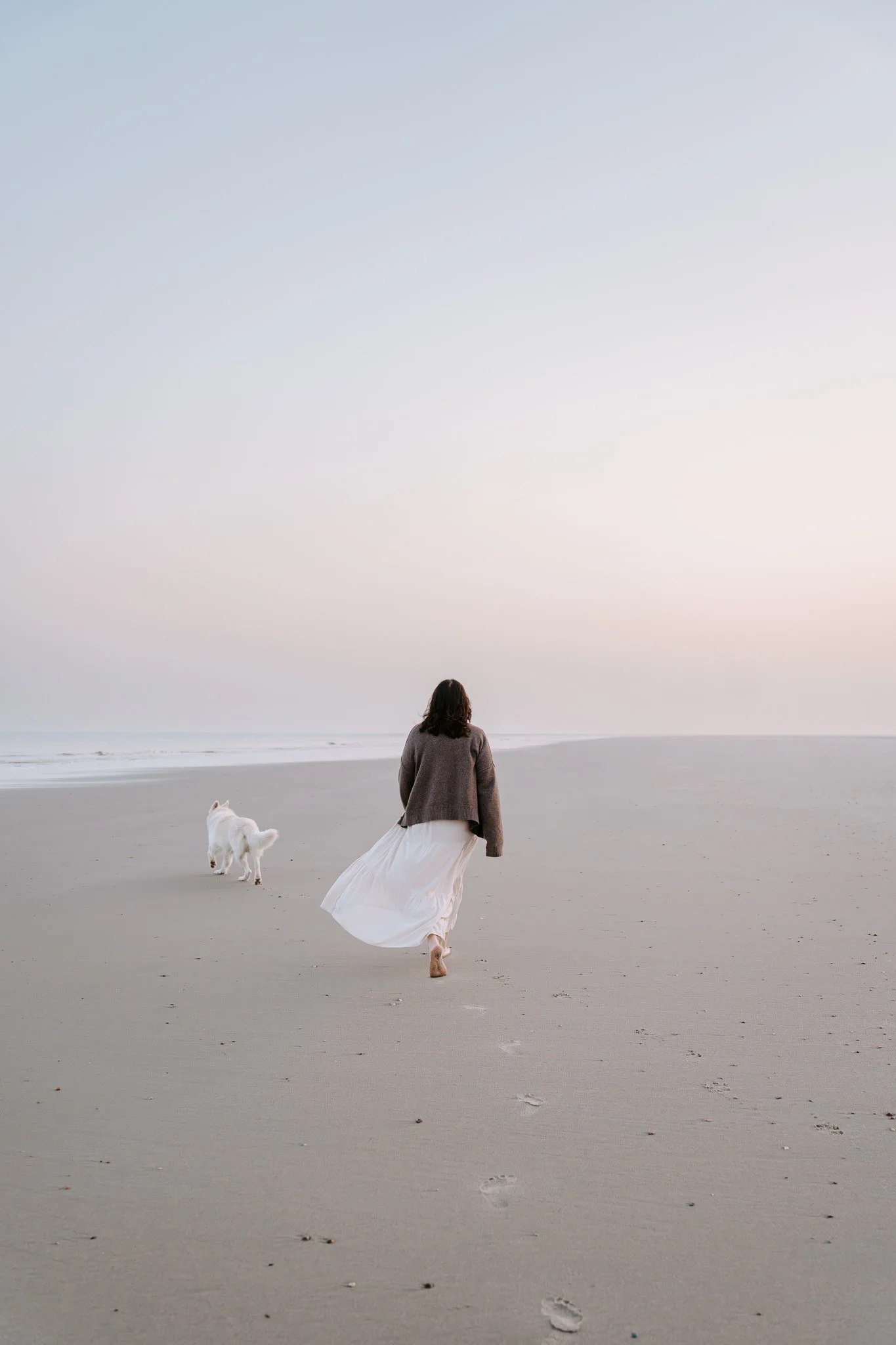 Hundefotografie Holland (2 von 13).jpg