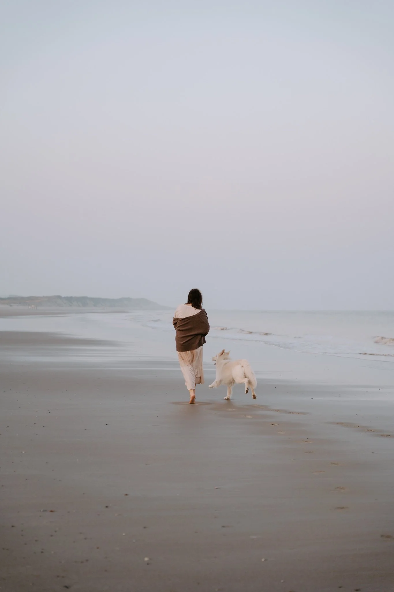 Hundefotografie Holland (13 von 13).jpg